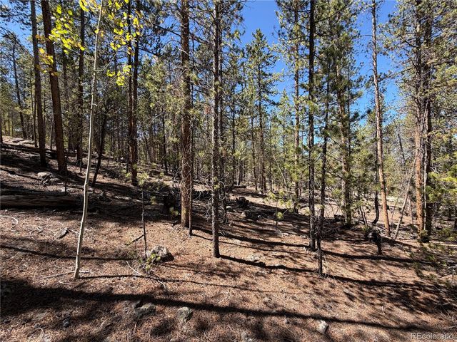 350 Mount Massive Drive, Twin Lakes, CO 81251