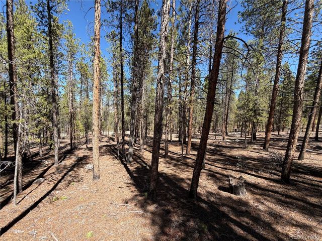 350 Mount Massive Drive, Twin Lakes, CO 81251