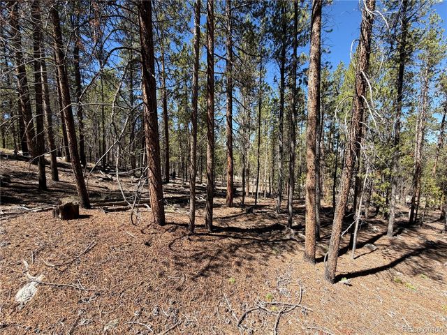 350 Mount Massive Drive, Twin Lakes, CO 81251