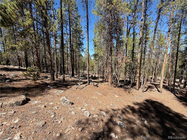 350 Mount Massive Drive, Twin Lakes, CO 81251