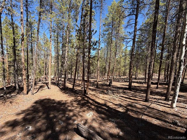 350 Mount Massive Drive, Twin Lakes, CO 81251