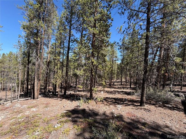 350 Mount Massive Drive, Twin Lakes, CO 81251