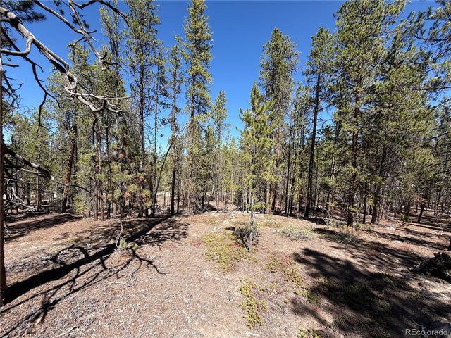 350 Mount Massive Drive, Twin Lakes, CO 81251
