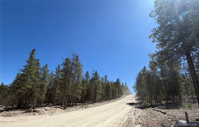 350 Mount Massive Drive, Twin Lakes, CO 81251