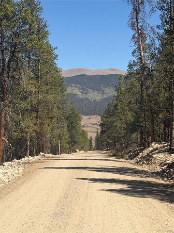 350 Mount Massive Drive, Twin Lakes, CO 81251