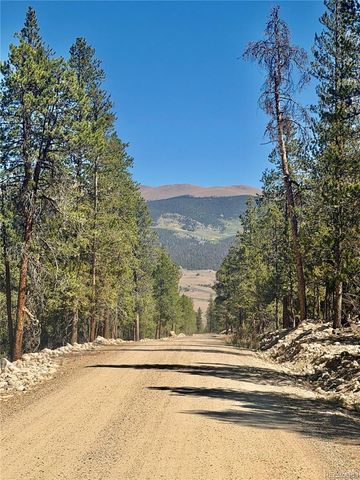 350 Mount Massive Drive, Twin Lakes, CO 81251