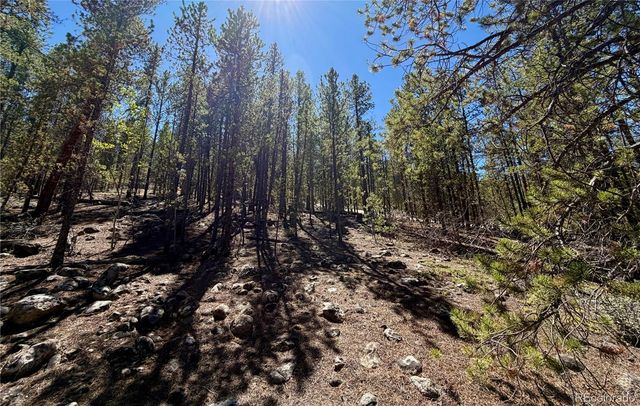 350 Mount Massive Drive, Twin Lakes, CO 81251