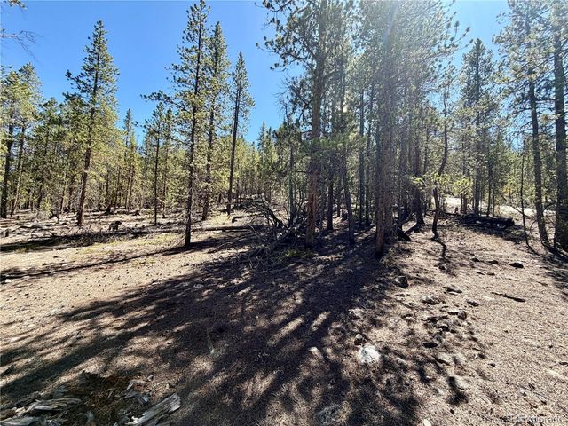 350 Mount Massive Drive, Twin Lakes, CO 81251