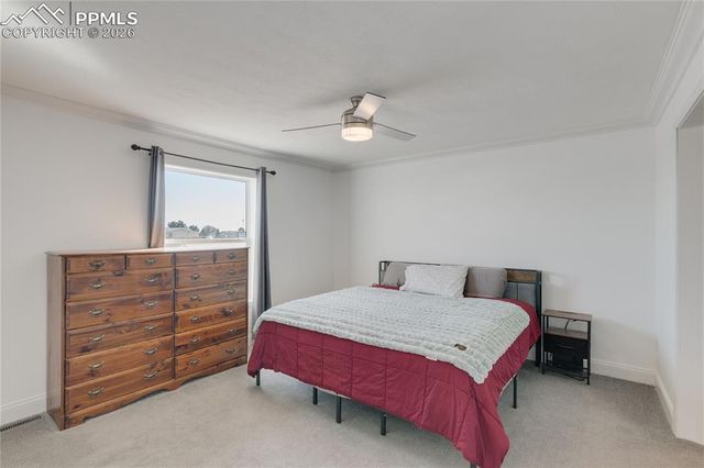 23656 Redtail Drive, Colorado Springs, CO 80928