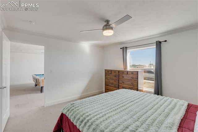 23656 Redtail Drive, Colorado Springs, CO 80928