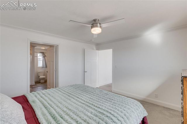 23656 Redtail Drive, Colorado Springs, CO 80928