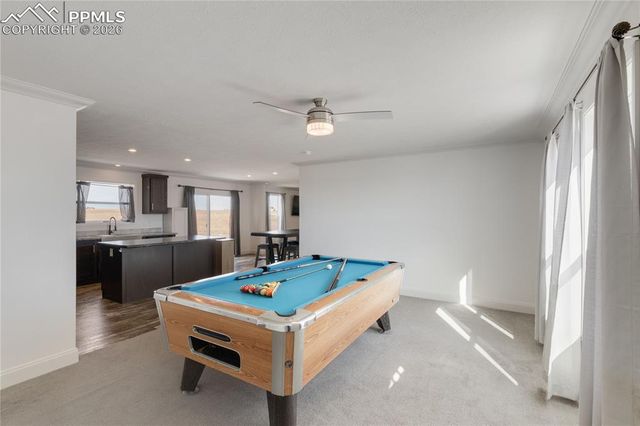 23656 Redtail Drive, Colorado Springs, CO 80928