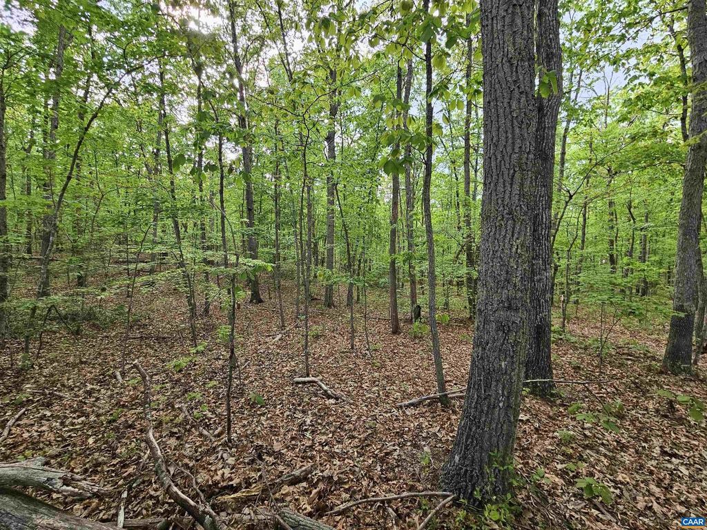 Image 2 of property listing at 3.1 AC AXTELL RD, Howardsville, VA 24562