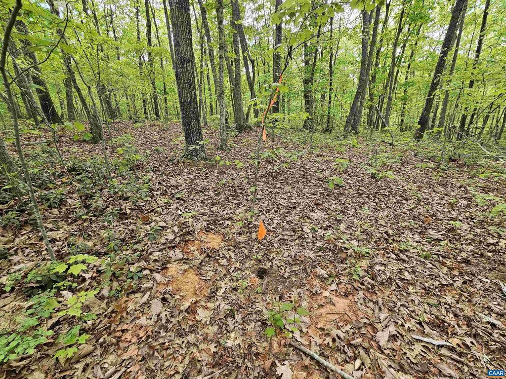 Image 6 of property listing at 3.1 AC AXTELL RD, Howardsville, VA 24562