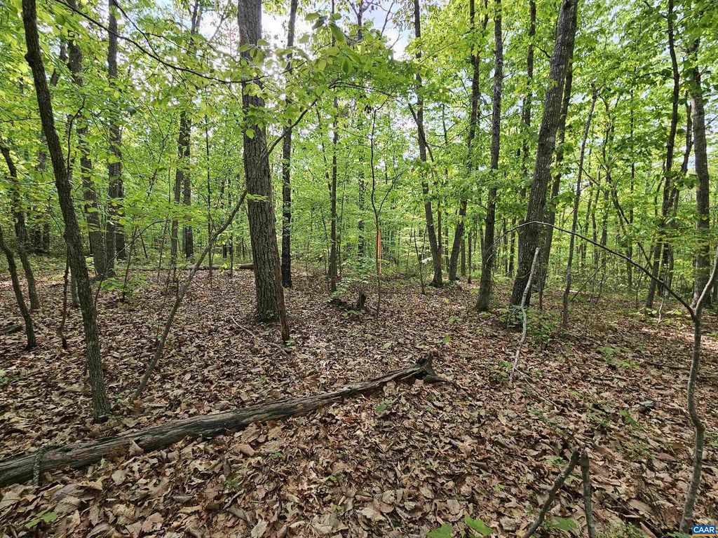 Image 7 of property listing at 3.1 AC AXTELL RD, Howardsville, VA 24562