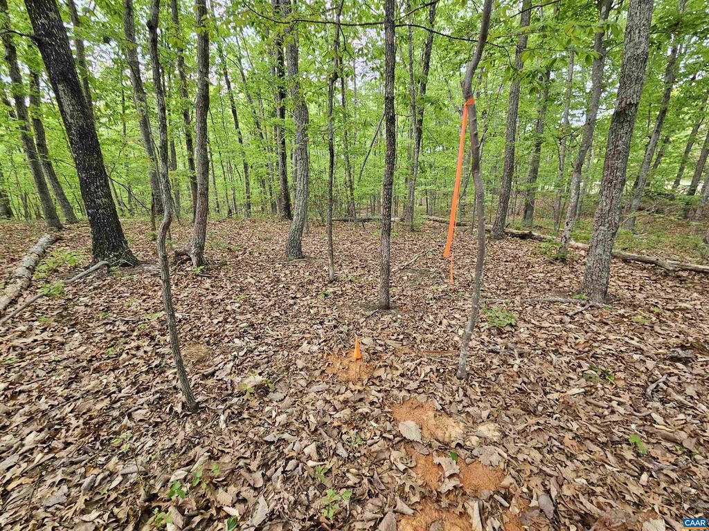 Image 8 of property listing at 3.1 AC AXTELL RD, Howardsville, VA 24562