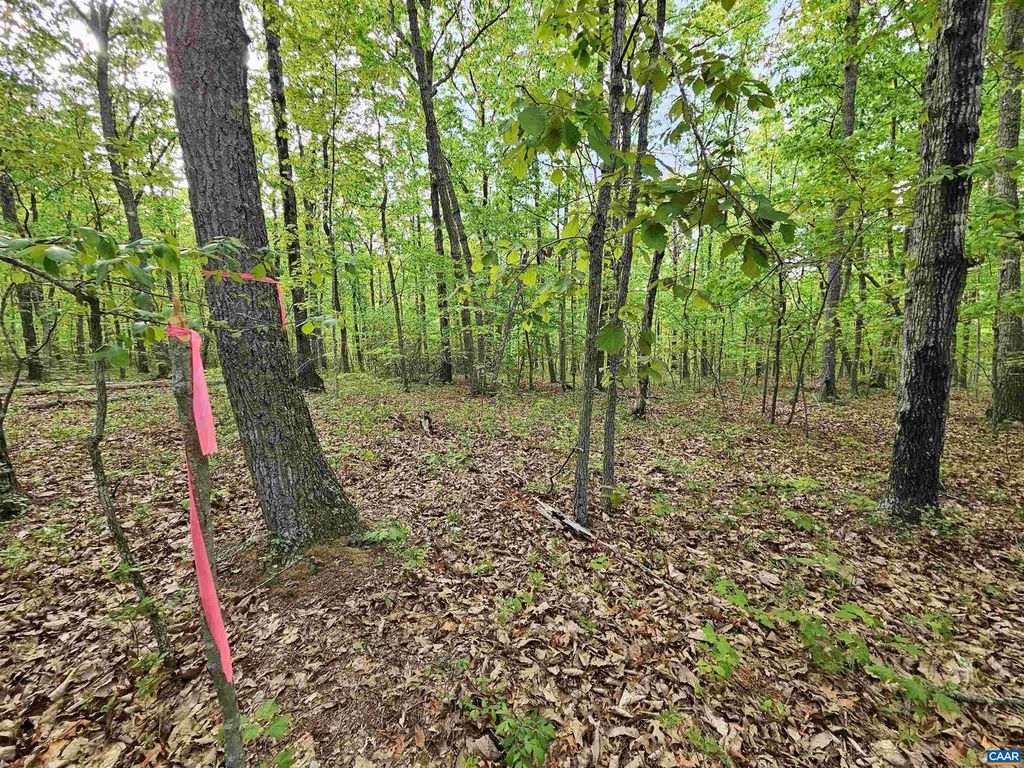 Image 9 of property listing at 3.1 AC AXTELL RD, Howardsville, VA 24562