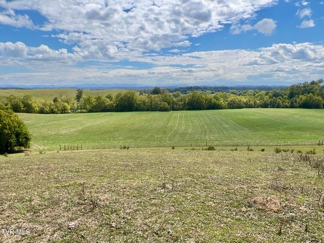1550 Mount Hope Road, 1, Mohawk, TN 37810