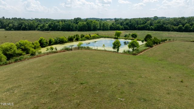 1550 Mount Hope Road, 1, Mohawk, TN 37810