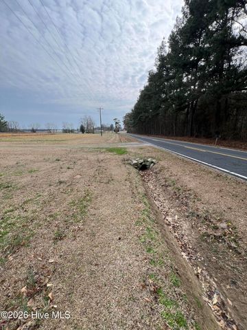 9556 Silver Spoon Road, Clarkton, NC 28433