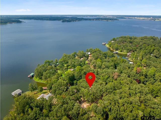 147 County Road 2608, Pittsburg, TX 75686