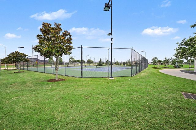 31214 Balsam Hawk Lane, Hockley, TX 77447