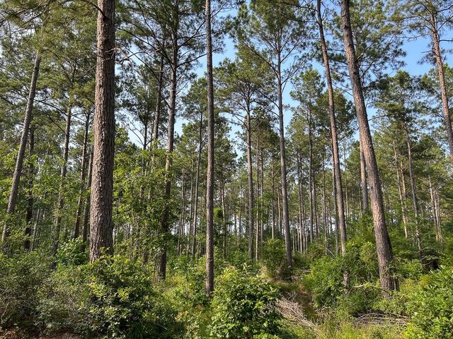 0 Fm 2109, Huntington, TX 75949