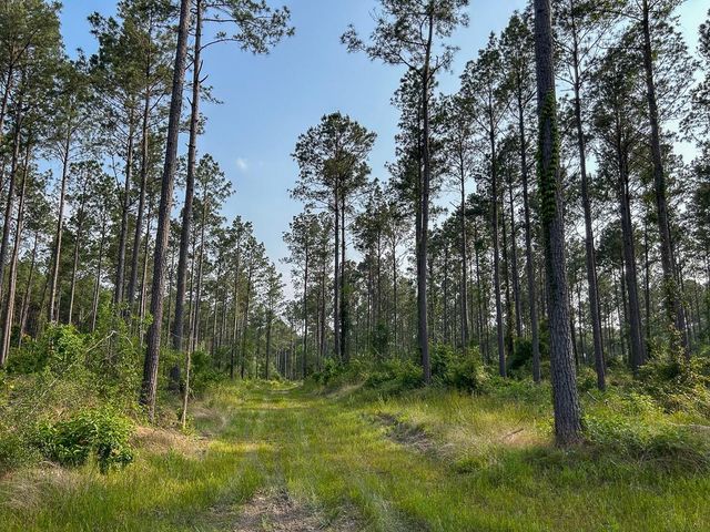 0 Fm 2109, Huntington, TX 75949