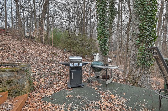 125 Shirley Street, Gray, TN 37615