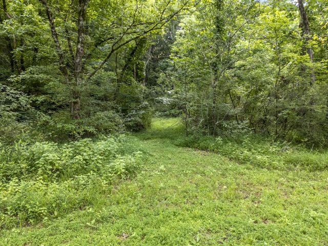 1355 Turkey Creek Rd, Dickson, TN 37055