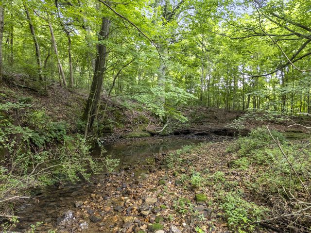 1355 Turkey Creek Rd, Dickson, TN 37055