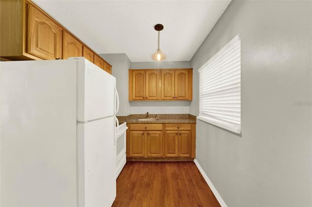 1020 ALBA DRIVE, Orlando, FL 32804