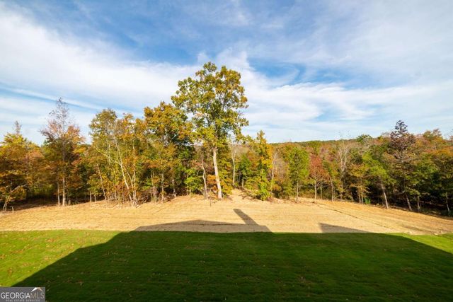 119 Satcher Road, Taylorsville, GA 30178