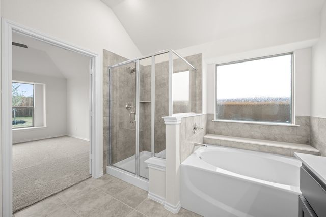 4541 Lyre Leaf Drive, Fort Worth, TX 76036