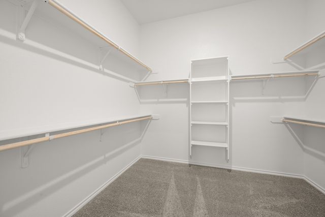 4541 Lyre Leaf Drive, Fort Worth, TX 76036