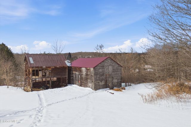 187 E Shore Road, Delanson, NY 12053