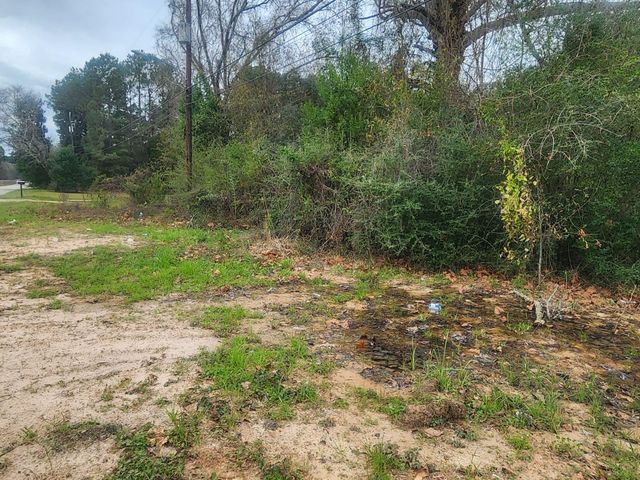 170 S Railroad Avenue, Shepherd, TX 77371