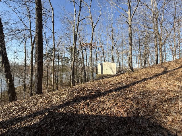 205 Lewis Cir, Dover, TN 37058