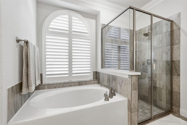 619 Cirrus Lane, Fate, TX 75087