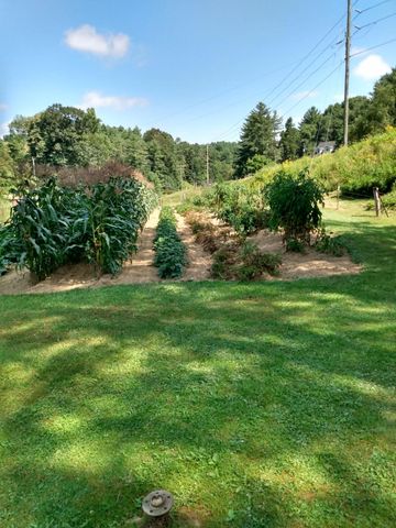 4668 Webbs Mill RD, Riner, VA 24149