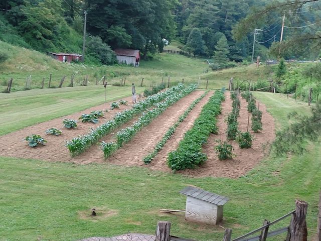 4668 Webbs Mill RD, Riner, VA 24149