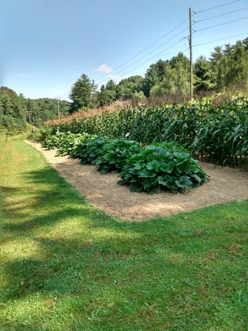 4668 Webbs Mill RD, Riner, VA 24149