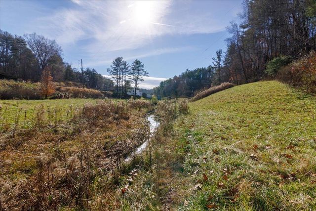 4668 Webbs Mill RD, Riner, VA 24149