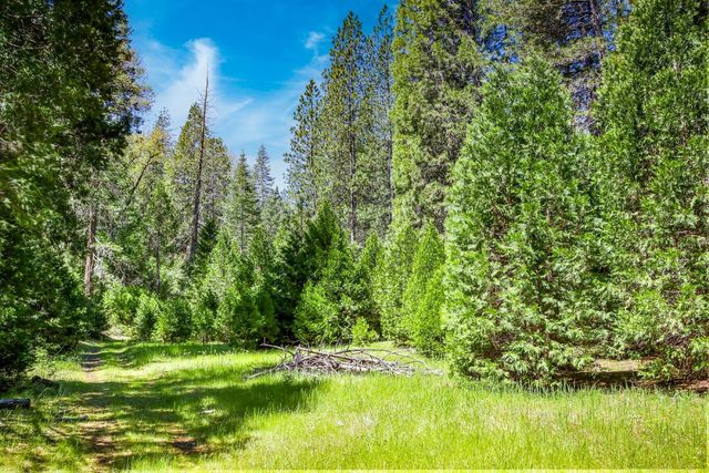 7744 Swiss Ranch Rd, Mountain Ranch, CA 95246