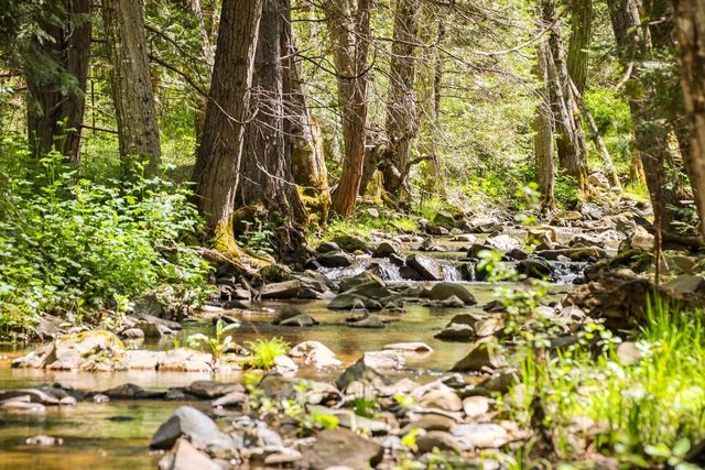 7744 Swiss Ranch Rd, Mountain Ranch, CA 95246