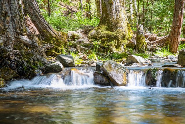 7744 Swiss Ranch Rd, Mountain Ranch, CA 95246