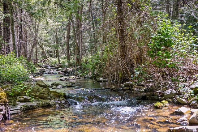 7744 Swiss Ranch Rd, Mountain Ranch, CA 95246