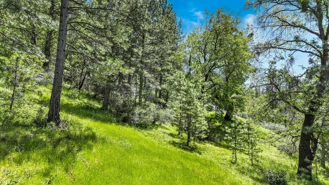 7744 Swiss Ranch Rd, Mountain Ranch, CA 95246