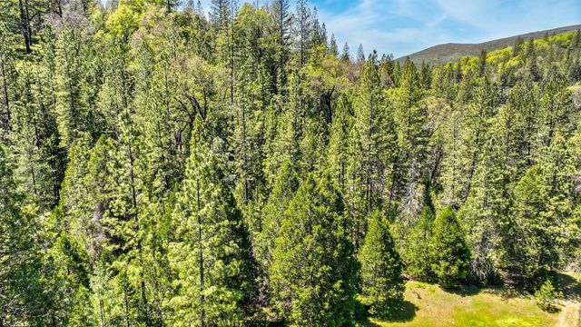 7744 Swiss Ranch Rd, Mountain Ranch, CA 95246