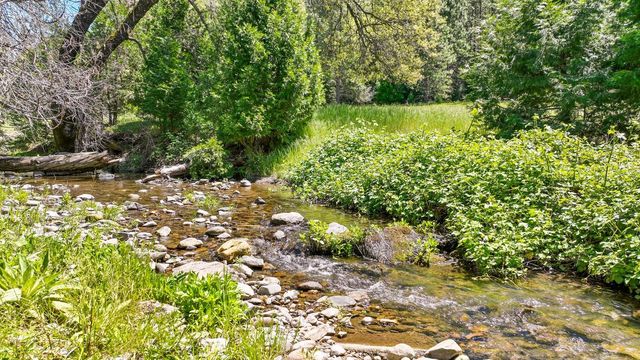 7744 Swiss Ranch Rd, Mountain Ranch, CA 95246